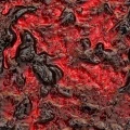 Čučoriedka – ovocná náplň, 3 kg