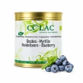 Čučoriedka BIO – ekologická ovocná náplň, 3 kg