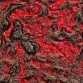 Čučoriedka - ovocná príprava BIO, ekologická, 3 kg